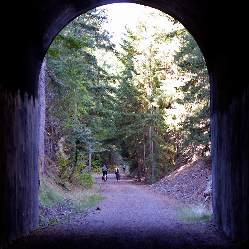 Rene Herse Snoqualmie Pass TC Tire Endurance (700C x 44)