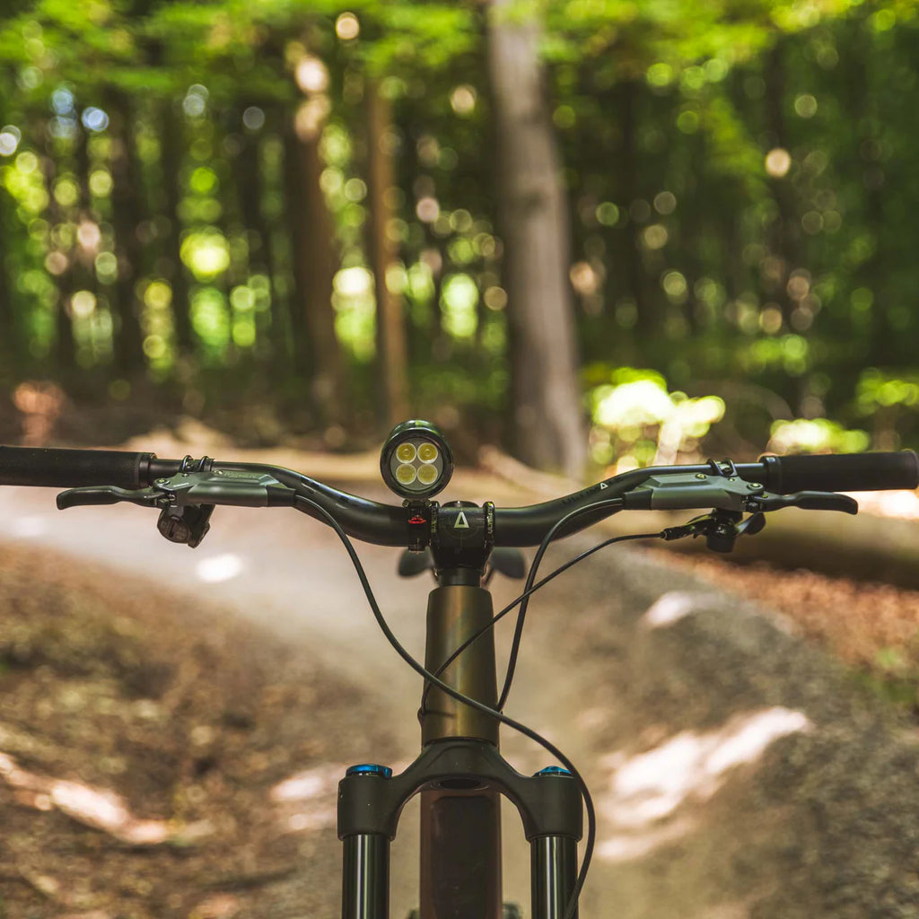 Exposure Lights MaXx-D 17