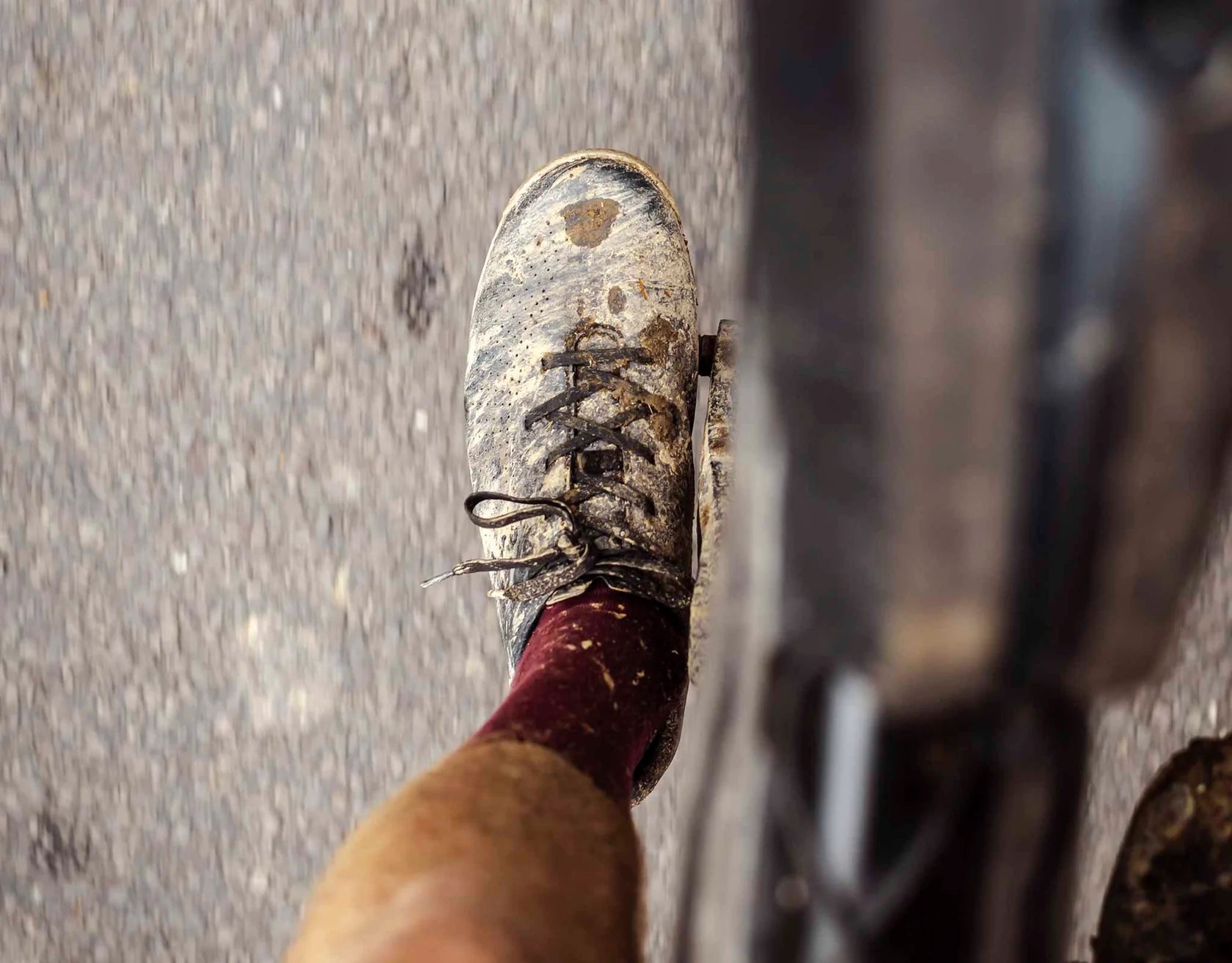 Ecco urban lifestyle retailer vermont